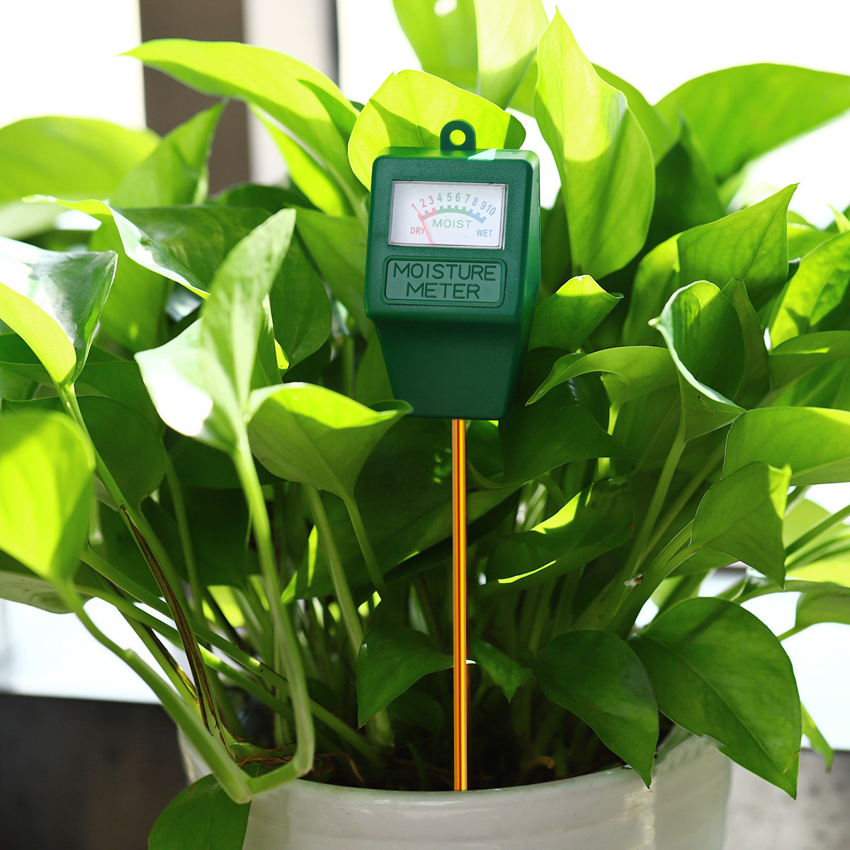 Soil Moisture Meter Precise Mo - Moisture Meter Plant 评论和价格