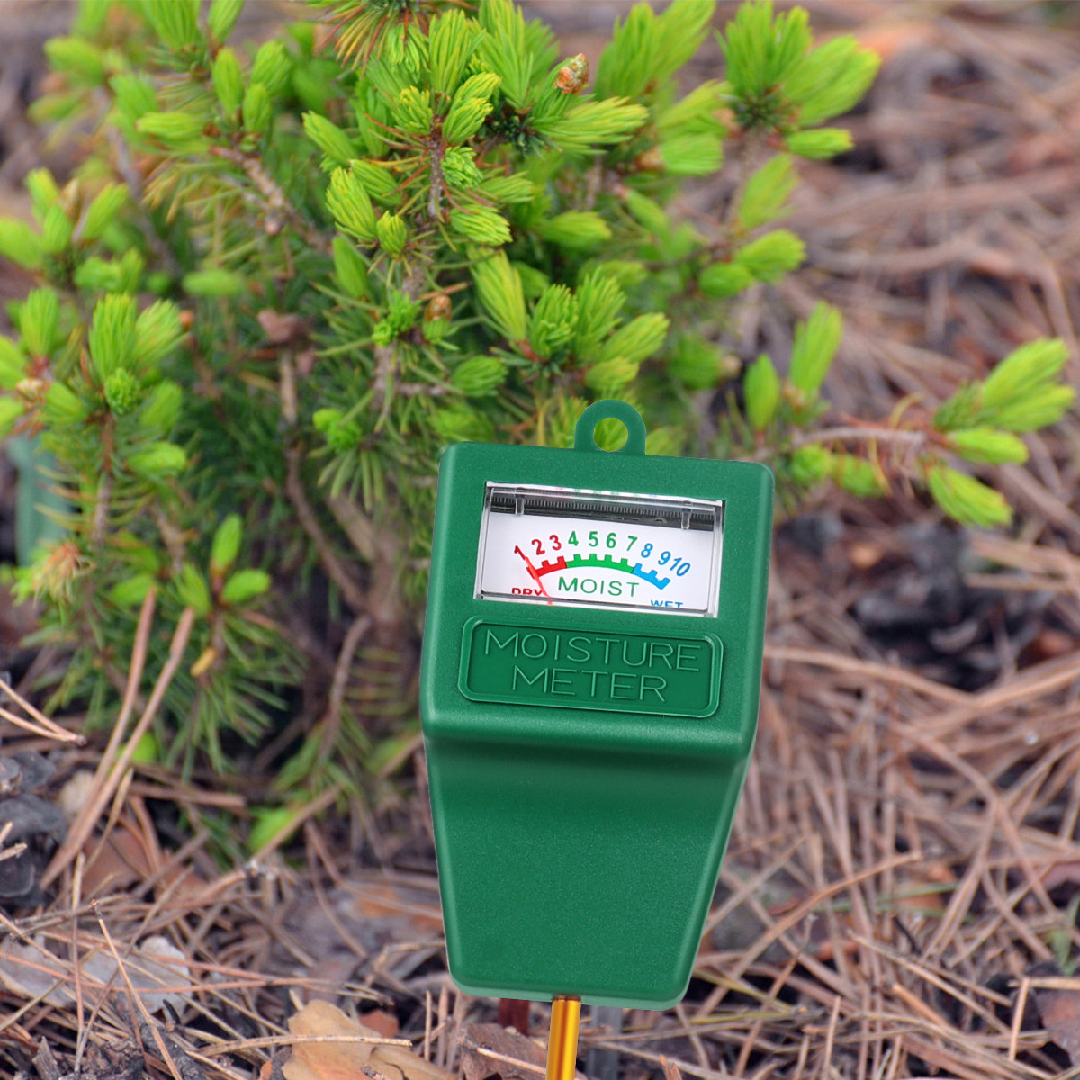 Soil Moisture Meter Precise Mo - Moisture Meter Plant 评论和价格