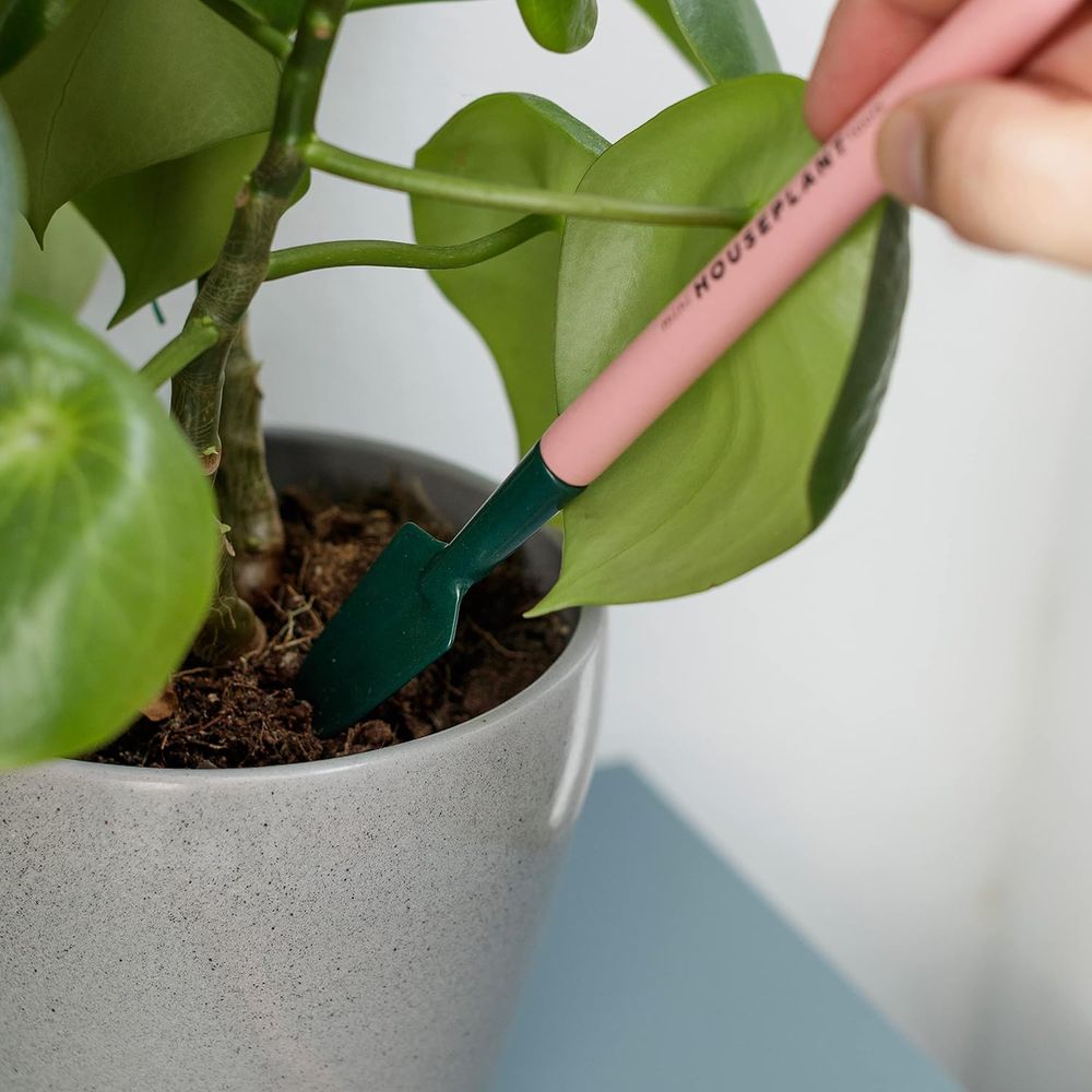 Compact Indoor Gardening Tools - Gardening Tools Pink 评论和价格