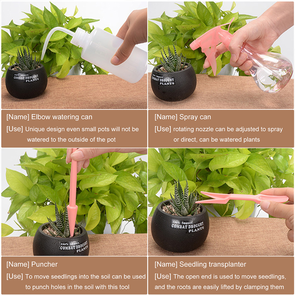 Easy To Clean Garden Succulent - Gardening Tools Pink 评论和价格