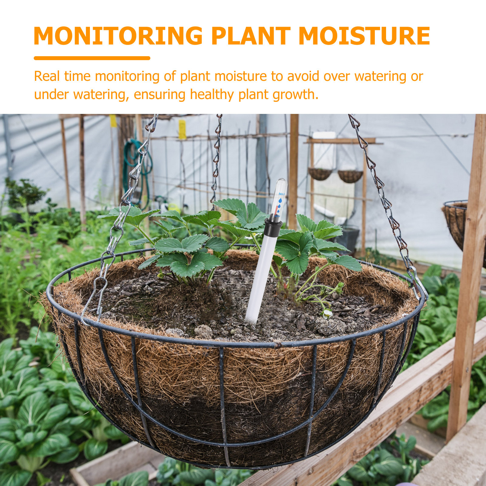 4Pcs Plant Water Level Indicat - Moisture Meter Plant 评论和价格