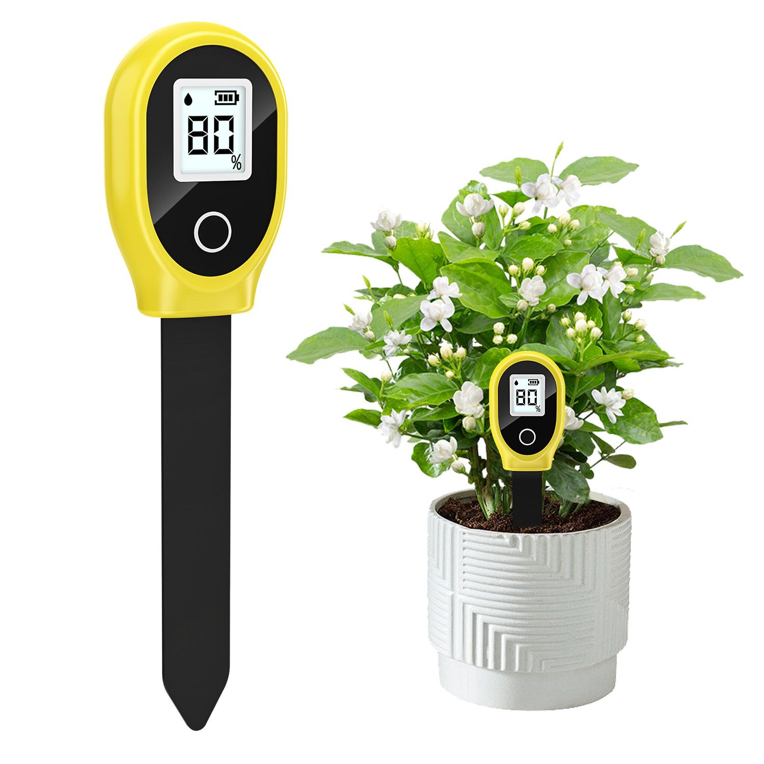 Soil Moisture Sensor Monitor P - Moisture Meter Plant 评论和价格